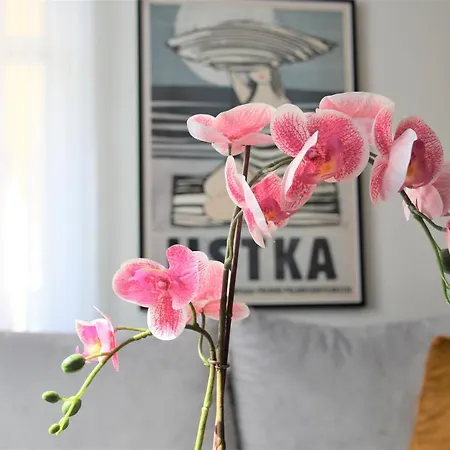 Apartman Royal Maris 3 - Najlepsza Lokalizacja W Ustce, Blisko Plazy I Portu, Bezplatny Parking, Scisle Centrum