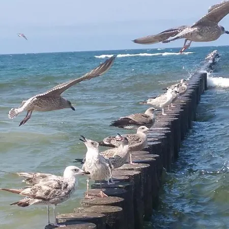 Apartament Royal Maris 3 - Najlepsza Lokalizacja W Ustce, Blisko Plaży I Portu, Bezpłatny Parking, ścisłe Centrum